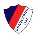 Duzcespor U19 Logo