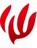 Michinoku Sendai FC Logo