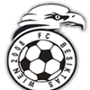 Besiktas Wien Logo