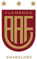 AA Flamengo U20 Logo