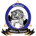 Atletico Ixtepec Logo