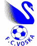Voska Sport Logo