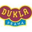 Dukla Praha U19 Logo