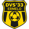 DVS 33 Ermelo Logo