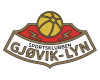 Gjovik-Lyn Logo