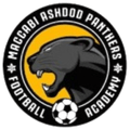 Ashdod Panthers (W) Logo