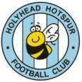 Holyhead Logo