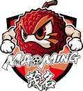 Maoming Team Logo