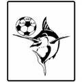 AOS Koutsoura Logo