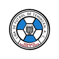 Liga de Futbol de Tehuacan Logo
