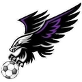 Beresfield United Logo