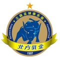 Yinchuan Northern Dairy Football Club Logo
