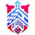 Neijiang Team Logo