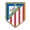 Bola Gotong FC Logo