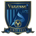 Sejong Vanesse FC Logo