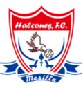 Club Alcones DS (W) Logo