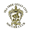 Tea Tree Gully City Logo