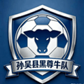 Heilongjiang Sunwu County Heizunniu Logo