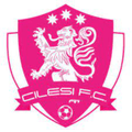 Cilesi FC Logo