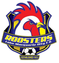 Lake Macquarie City Reserves Women Logo