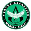 Soccer Assassins Women Logo
