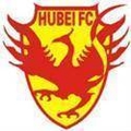 Hubei Province Youth Logo