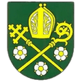 TJ Druzstevnik Besenov Logo