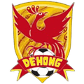 Dehong Team Logo