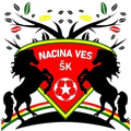 Nacina Ves Logo