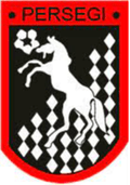 PS Gianyar Logo