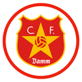 CF Damm U19 Logo