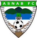 ASNAB Logo