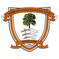 Ashford Town Logo