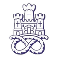 Newcastle Town FC Logo