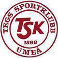 Tegs SK Logo