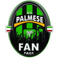 US Palmese U19 Logo