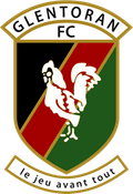 Glentoran Reserves Logo