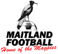 Maitland FC(w) Logo