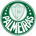 Palmeiras Youth Logo