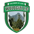 Wologizi Logo