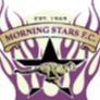Morning Star Logo