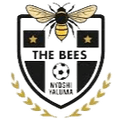 The Bees FC Logo