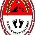 Nene Mallomo Logo