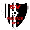 SV Feldbach Logo