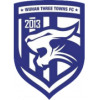 Wuhan Three Towns U15 Logo