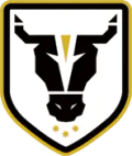 Bulls Academy (W) U23 Logo