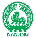 Nanjing Team Logo