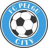 Pelgu City Logo