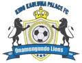 KK Palace FC Logo