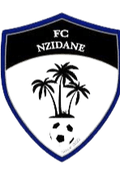 Nzeidane Logo